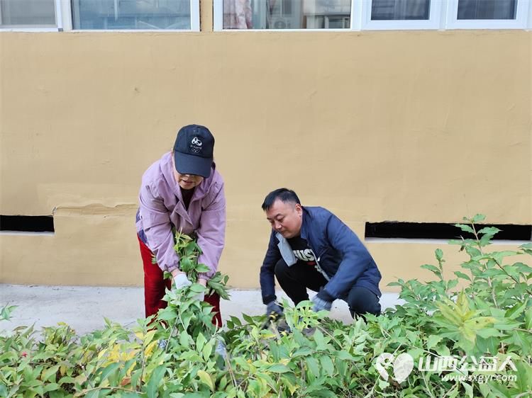 太原市菜园苑区志愿者携手迎泽区南内环二社区开展了楼前杂草集中清理志愿服务行动对楼前绿化带的杂草进行拉网式清理小区人居环境得到明显改善 - 第13张 - 山西公益人 太原市菜园苑区志愿者携手迎泽区南内环二社区开展了楼前杂草集中清理志愿服务行动对楼前绿化带的杂草进行拉网式清理小区人居环境得到明显改善 - 第13张