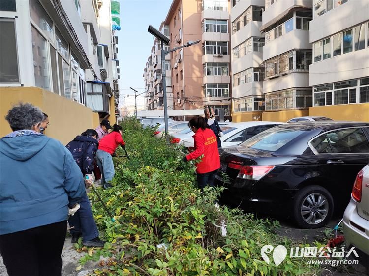 太原市菜园苑区志愿者携手迎泽区南内环二社区开展了楼前杂草集中清理志愿服务行动对楼前绿化带的杂草进行拉网式清理小区人居环境得到明显改善 - 第5张 - 山西公益人 太原市菜园苑区志愿者携手迎泽区南内环二社区开展了楼前杂草集中清理志愿服务行动对楼前绿化带的杂草进行拉网式清理小区人居环境得到明显改善 - 第5张