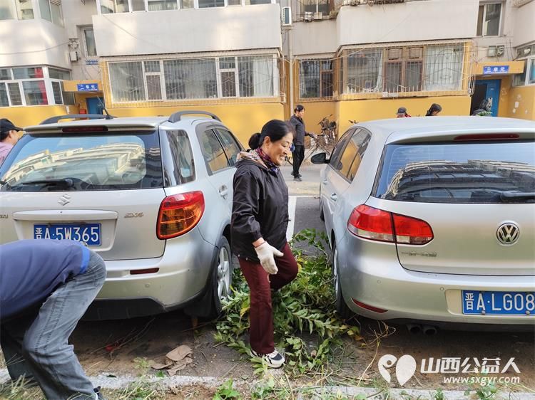 太原市菜园苑区志愿者携手迎泽区南内环二社区开展了楼前杂草集中清理志愿服务行动对楼前绿化带的杂草进行拉网式清理小区人居环境得到明显改善 - 第7张 - 山西公益人 太原市菜园苑区志愿者携手迎泽区南内环二社区开展了楼前杂草集中清理志愿服务行动对楼前绿化带的杂草进行拉网式清理小区人居环境得到明显改善 - 第7张