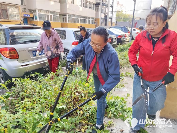 太原市菜园苑区志愿者携手迎泽区南内环二社区开展了楼前杂草集中清理志愿服务行动对楼前绿化带的杂草进行拉网式清理小区人居环境得到明显改善 - 第6张 - 山西公益人 太原市菜园苑区志愿者携手迎泽区南内环二社区开展了楼前杂草集中清理志愿服务行动对楼前绿化带的杂草进行拉网式清理小区人居环境得到明显改善 - 第6张