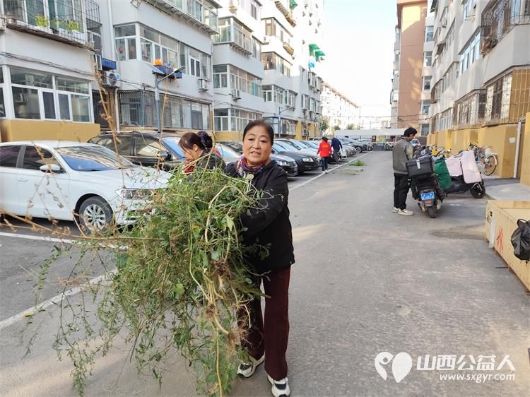 太原市菜园苑区志愿者携手迎泽区南内环二社区开展了楼前杂草集中清理志愿服务行动对楼前绿化带的杂草进行拉网式清理小区人居环境得到明显改善 - 第21张 - 山西公益人 太原市菜园苑区志愿者携手迎泽区南内环二社区开展了楼前杂草集中清理志愿服务行动对楼前绿化带的杂草进行拉网式清理小区人居环境得到明显改善 - 第21张