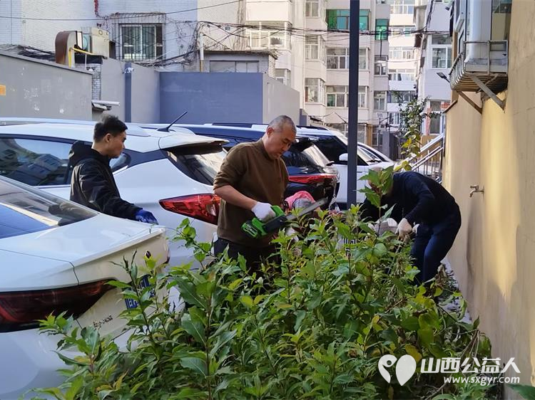 太原市菜园苑小区志愿者和热心居民10月30日共同在1-2号楼之间清理楼前杂草和垃圾为身体力行切身为小区做公益做好事的每一位点赞 - 第17张