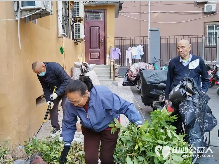 太原市菜园苑小区志愿者和热心居民10月30日共同在1-2号楼之间清理楼前杂草和垃圾为身体力行切身为小区做公益做好事的每一位点赞 - 第6张