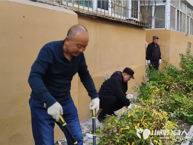 太原市菜园苑小区志愿者和热心居民10月30日共同在1-2号楼之间清理楼前杂草和垃圾为身体力行切身为小区做公益做好事的每一位点赞 - 第5张