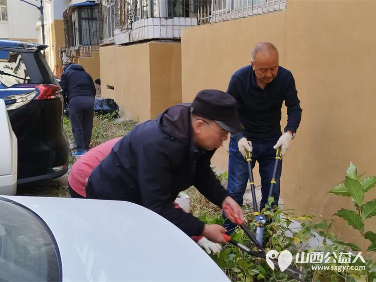 太原市菜园苑小区志愿者和热心居民10月30日共同在1-2号楼之间清理楼前杂草和垃圾为身体力行切身为小区做公益做好事的每一位点赞 - 第7张