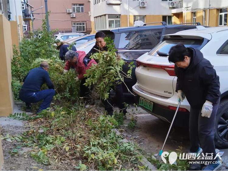 太原市菜园苑小区志愿者和热心居民10月30日共同在1-2号楼之间清理楼前杂草和垃圾为身体力行切身为小区做公益做好事的每一位点赞 - 第12张