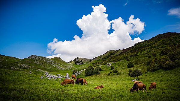 一位默默奉献的老人周太道——《暖阳》