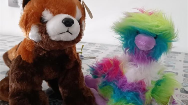 太原市雏鹰展翅社工中心志愿者捐赠给太原市灵星社区孤独症孩子132个毛绒玩具