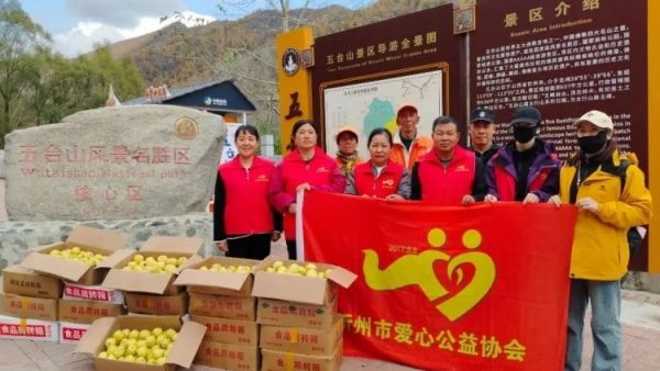 重阳节暖心行动！忻州市爱心公益协会志愿者4天帮助五台县阳白乡智家庄村75岁农户智金平售出95箱梨