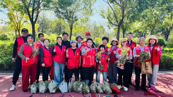 太原市迎泽区志愿者参加太原市双塔公园公益除草志愿行活动俯身清理草坪里面的杂草